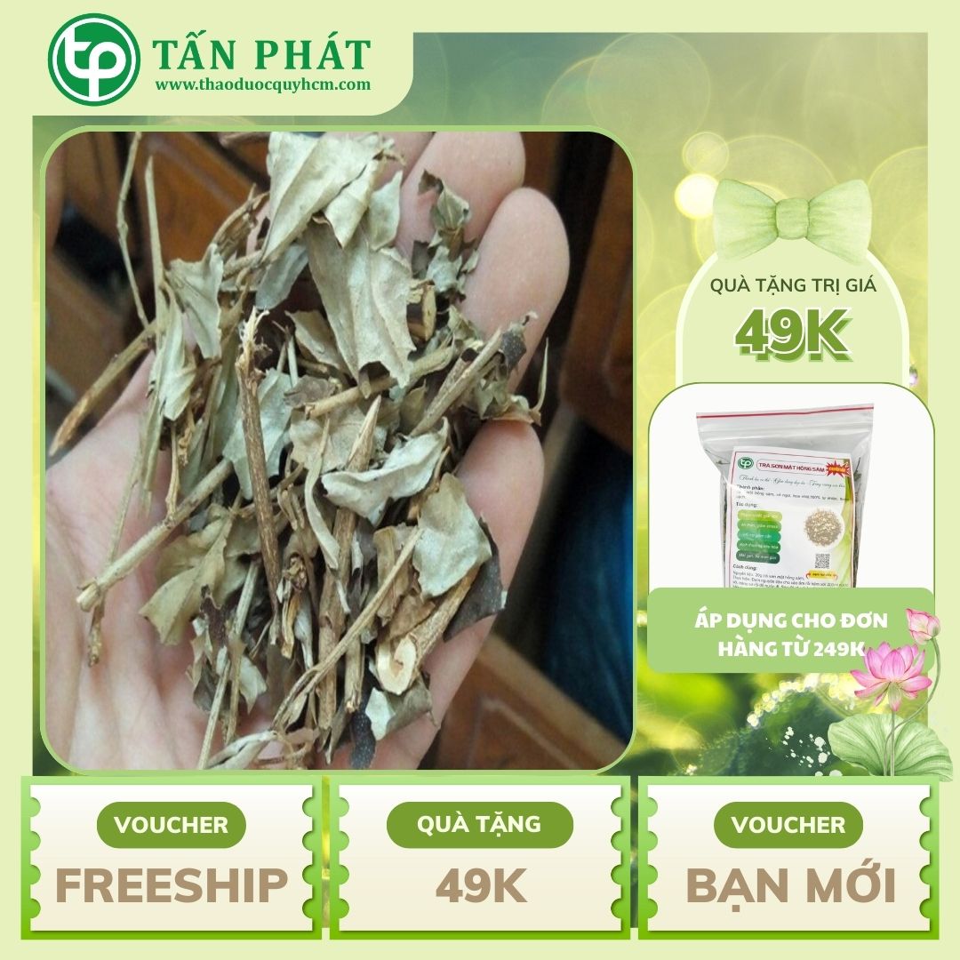 Lá khổ sâm khô túi lớn loại 1kg - chuyên dùng để pha trà hỗ trợ cải thiện sức khỏe dạ dày - Hàng sạch chất lượng cao - Thảo Dược Tấn Phát