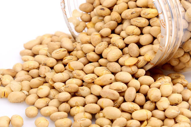 500g ĐẬU NÀNH SẤY giòn ngon