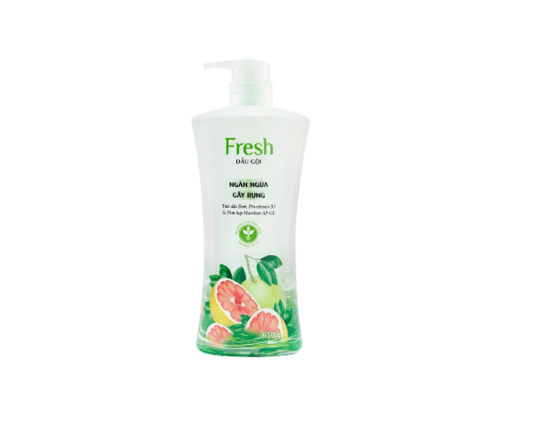 [HCM]Dầu gội suôn mượt Fresh 650ml