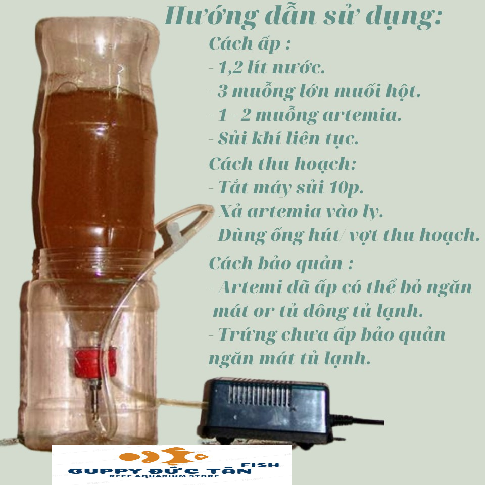 Trứng Artemia Ấp Nở Lon Vàng 50G