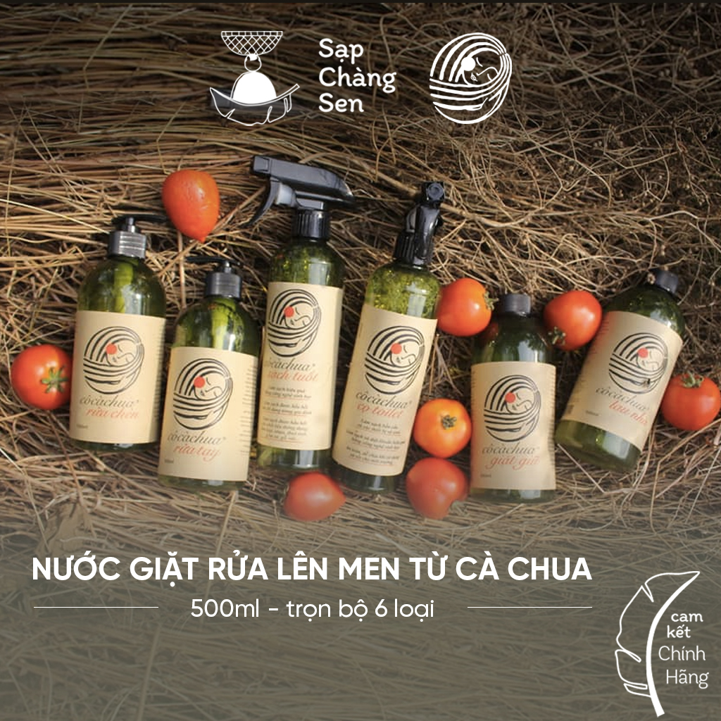 Rửa chén (Cô Cà Chua) - 500ml