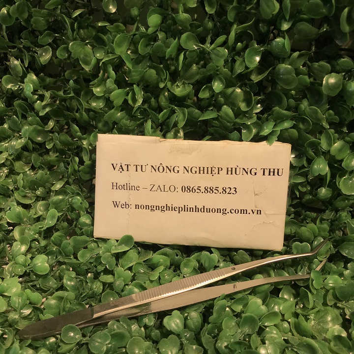 [ GIÁ SỈ ] Nhíp gắp sên và côn trùng dài 20cm