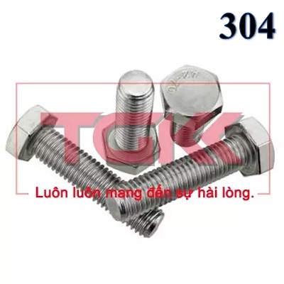 Bulong inox 304 M10