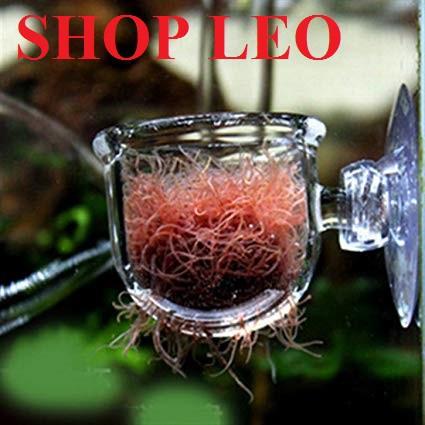 Cốc đựng giun cho cá - cốc đựng trùn chỉ - cốc thủy sinh