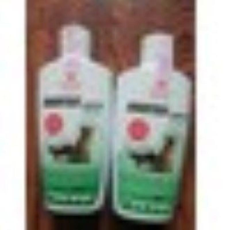 Sữa tắm sạch ve ghẻ, bọ chét chó mèo - Hantox Shampoo Xanh