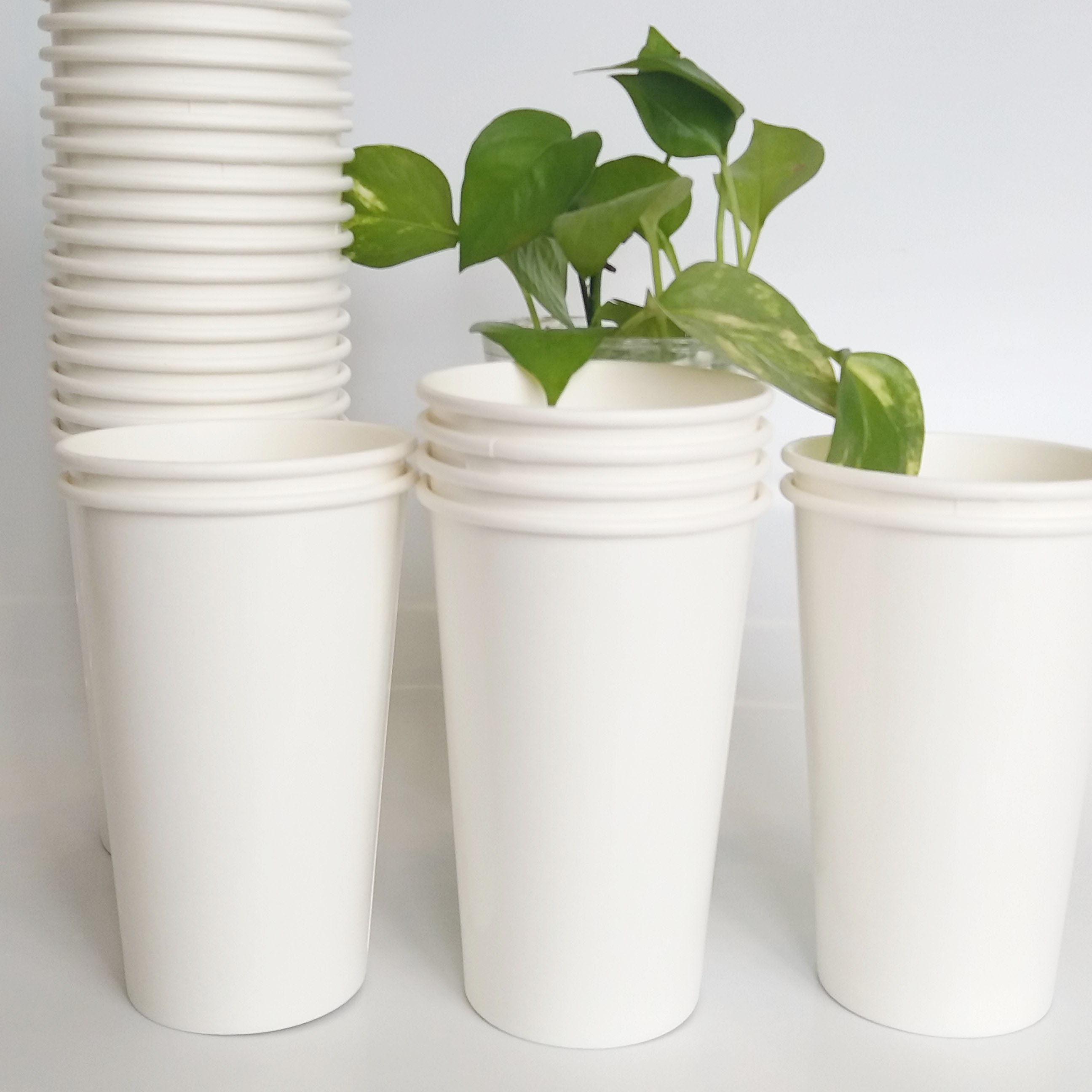 [KV] Ly giấy 16oz~472ml - Lốc 50 ly giấy trơn