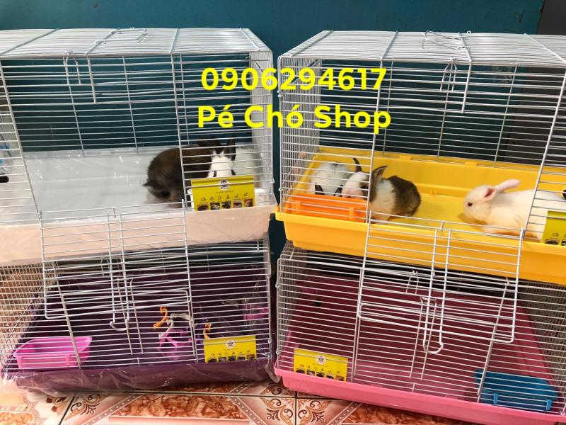Lồng size đại (47-30-30) cho sóc,thỏ,bọ,nhím,hamster có phụ kiện.
