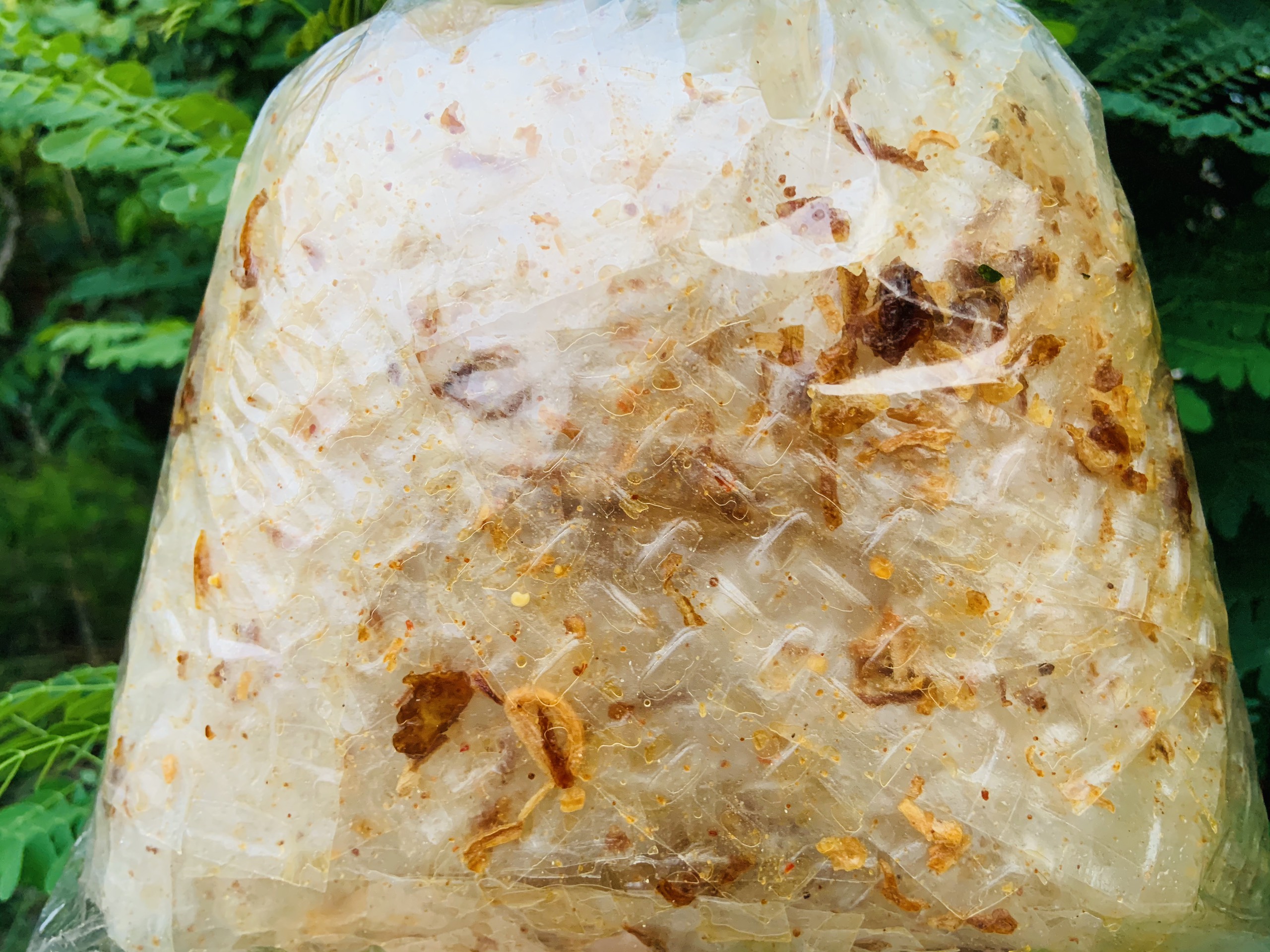 [500GR] Bánh Tráng Vuông Trộn Muối Hành Ngon