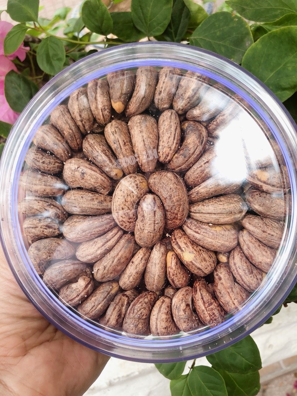 500gr điều A cồ xuất khẩu hạt to