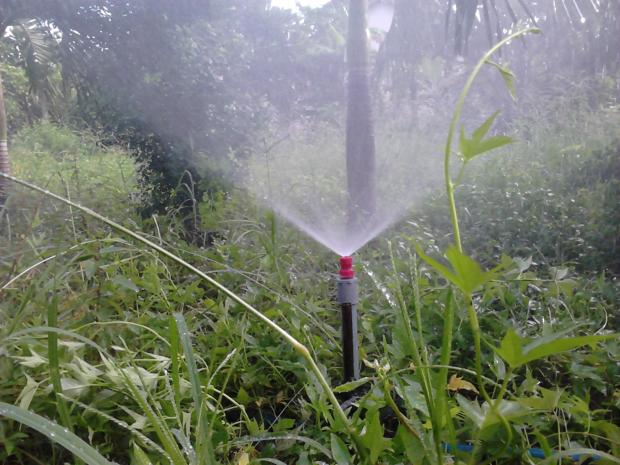 10 cái Béc vít màu đỏ (béc +răng nối)