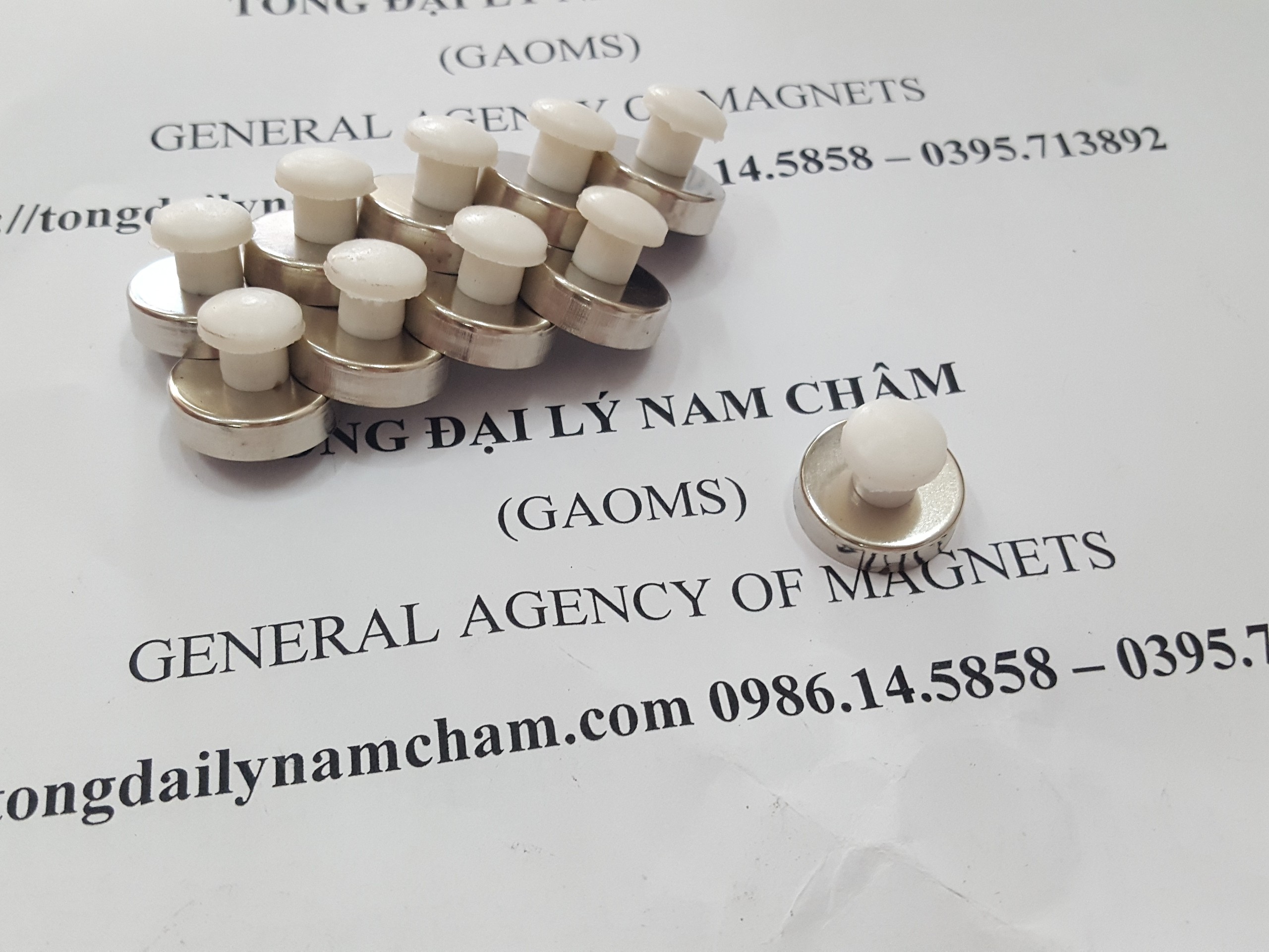 Nam châm đính bảng D16mm, có núm trắng- 20 cái