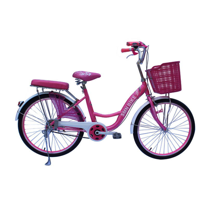 Mua Xe đạp thông dụng SMNBike WV 24-01 ( 24 inch )