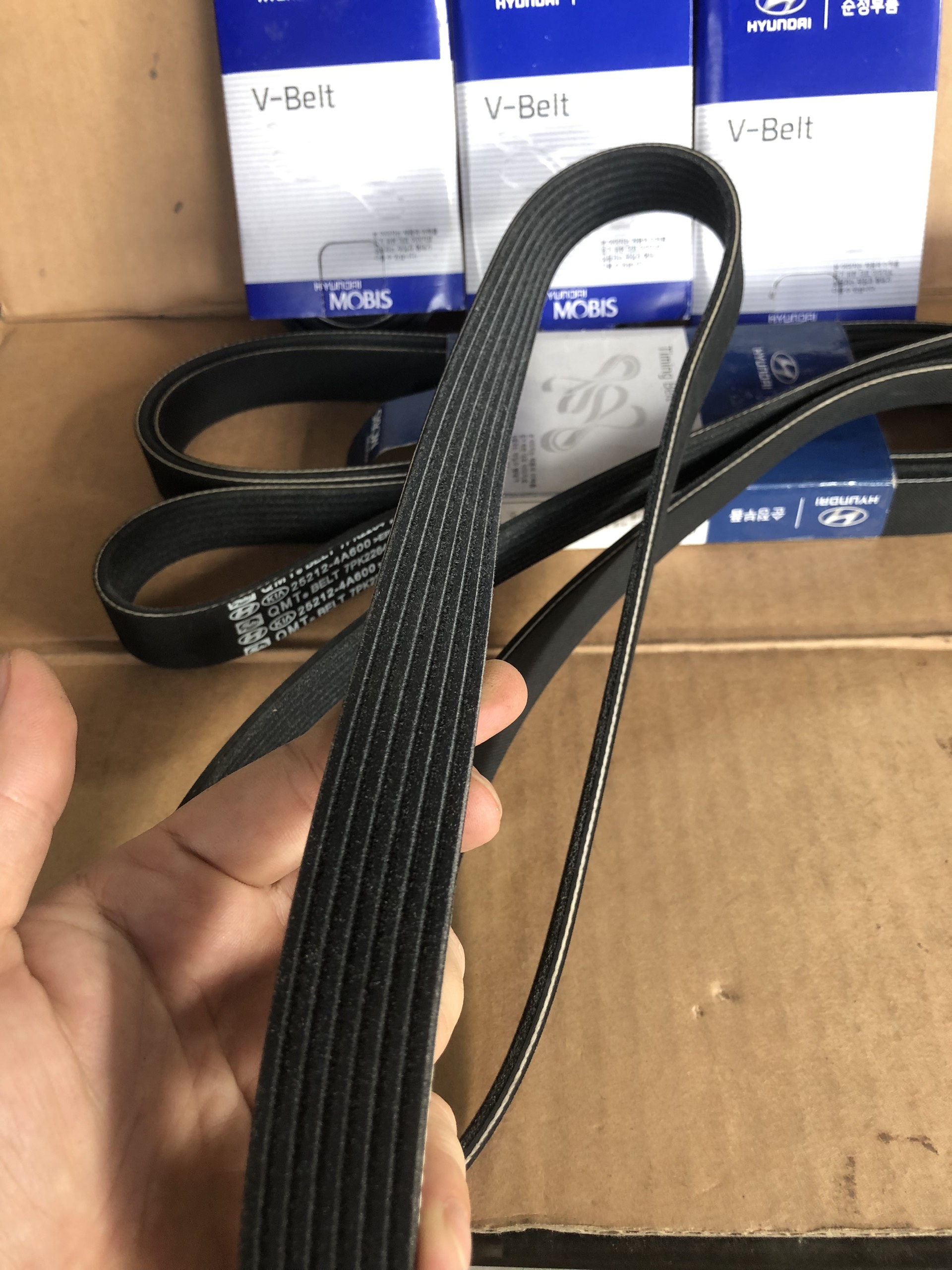 Dây Curoa Tổng HYUNDAI SOLATI 16C