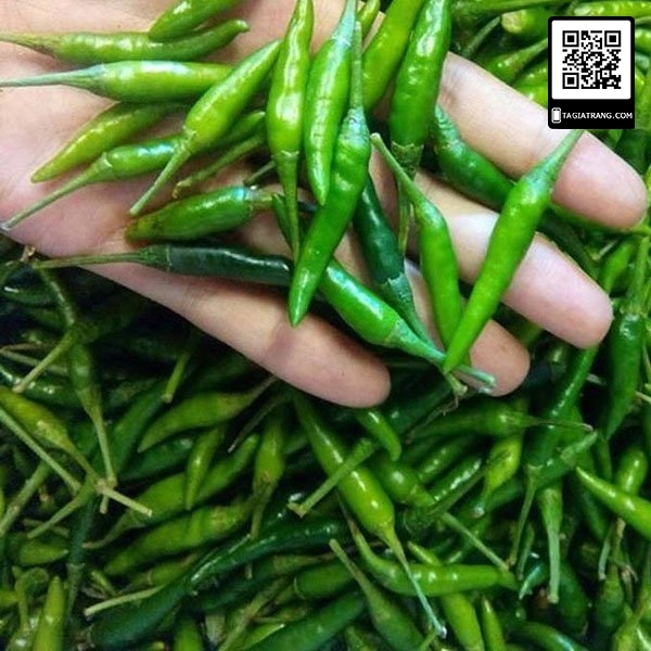 Hạt giống ớt xiêm - Gói 0,2g