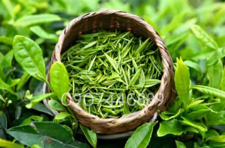 1KG Trà Thái Nguyên đặc sản