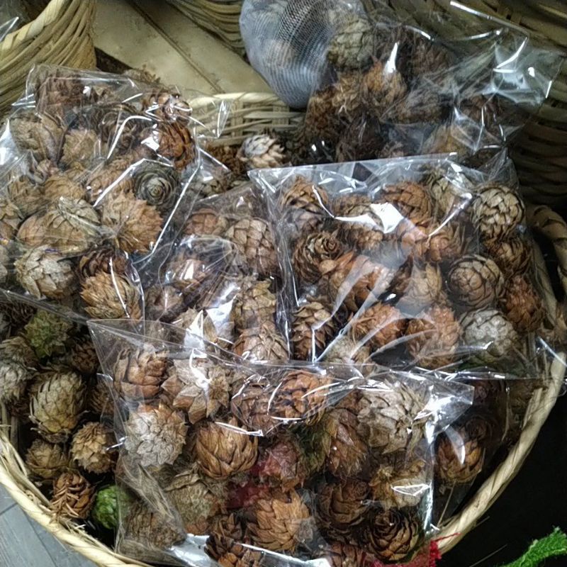 Set trái thông cánh mềm trang trí noel