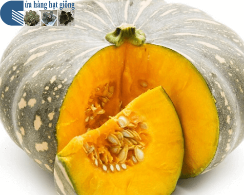 HẠT GIỐNG BÍ ĐỎ CAO SẢN.