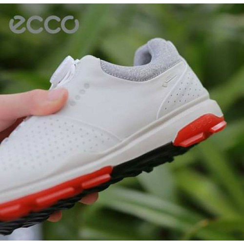 Giày Ecco Golf Biom Hybrid 3 núm vặn - Ecco : mvp skt