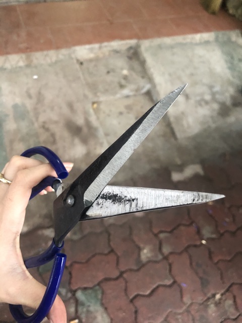 Kéo Cắt Đa năng Đình Thi Siêu Sắc