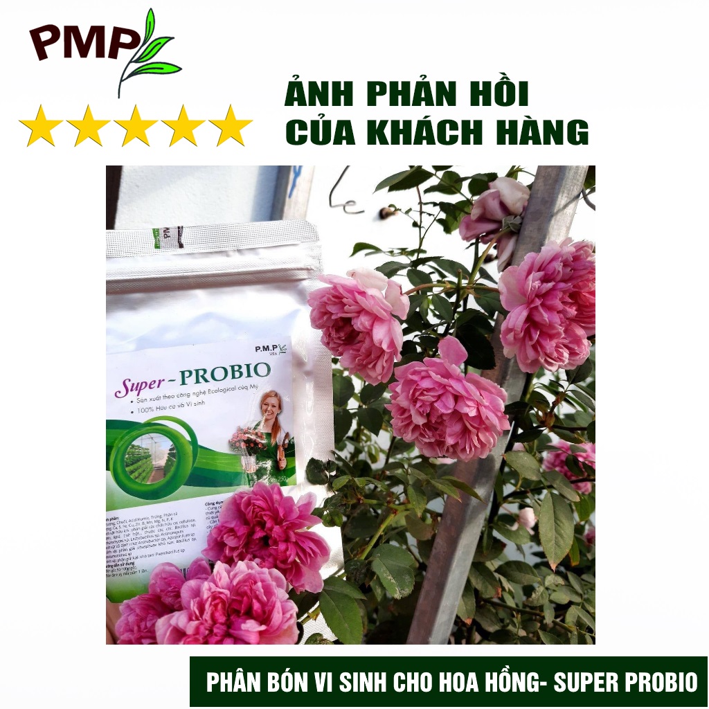 Phân Bón Hoa Hồng SOYMIC & Super Probio PMP Viên Nén Tan Chậm