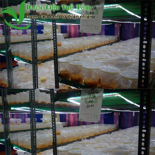 [HCM]100G Đông trùng hạ thảo khô - CAO CẤP