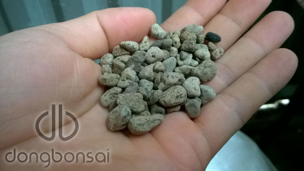 Combo 5lit Đá Pumice (đá bọt núi lửa) Indonesia