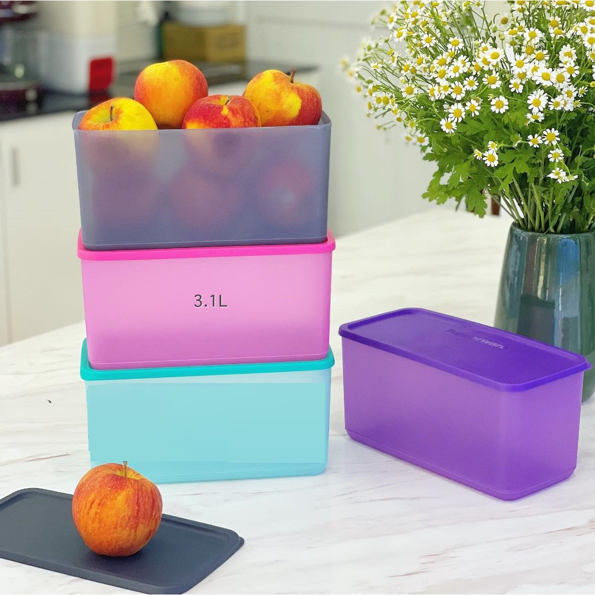 Bộ hộp Bảo quản thực phẩm Tupperware FUNTASTIC (04 hộp)