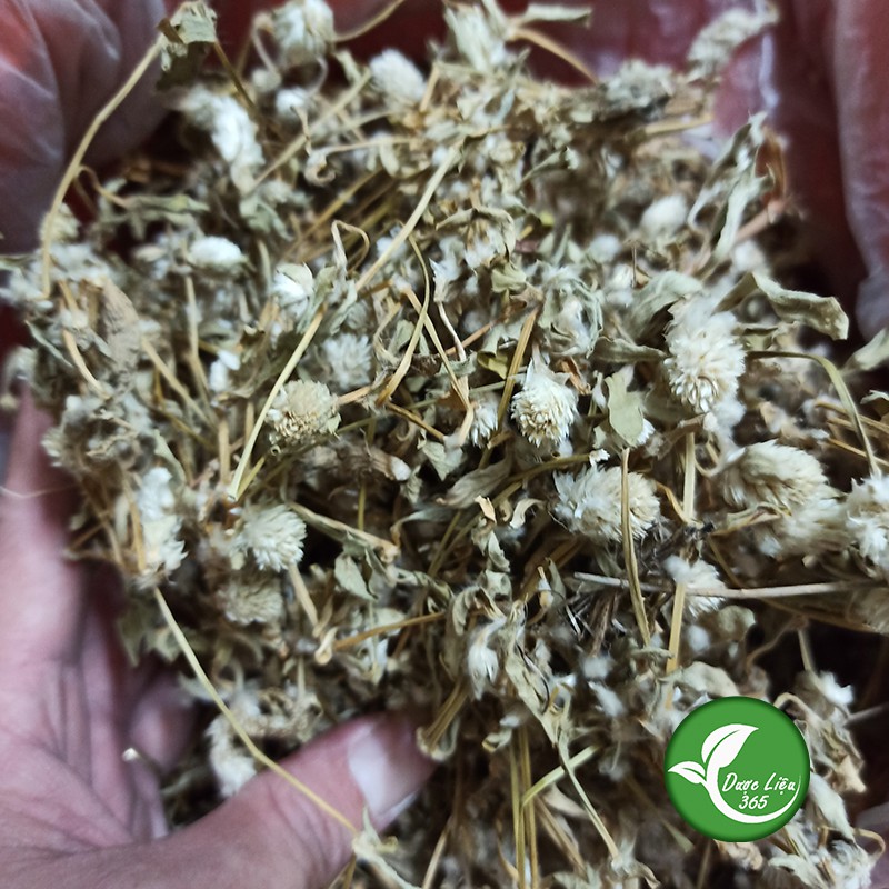 Cây Nở Ngày Đất khô [1KG] Hàng cam kết sạch đẹp