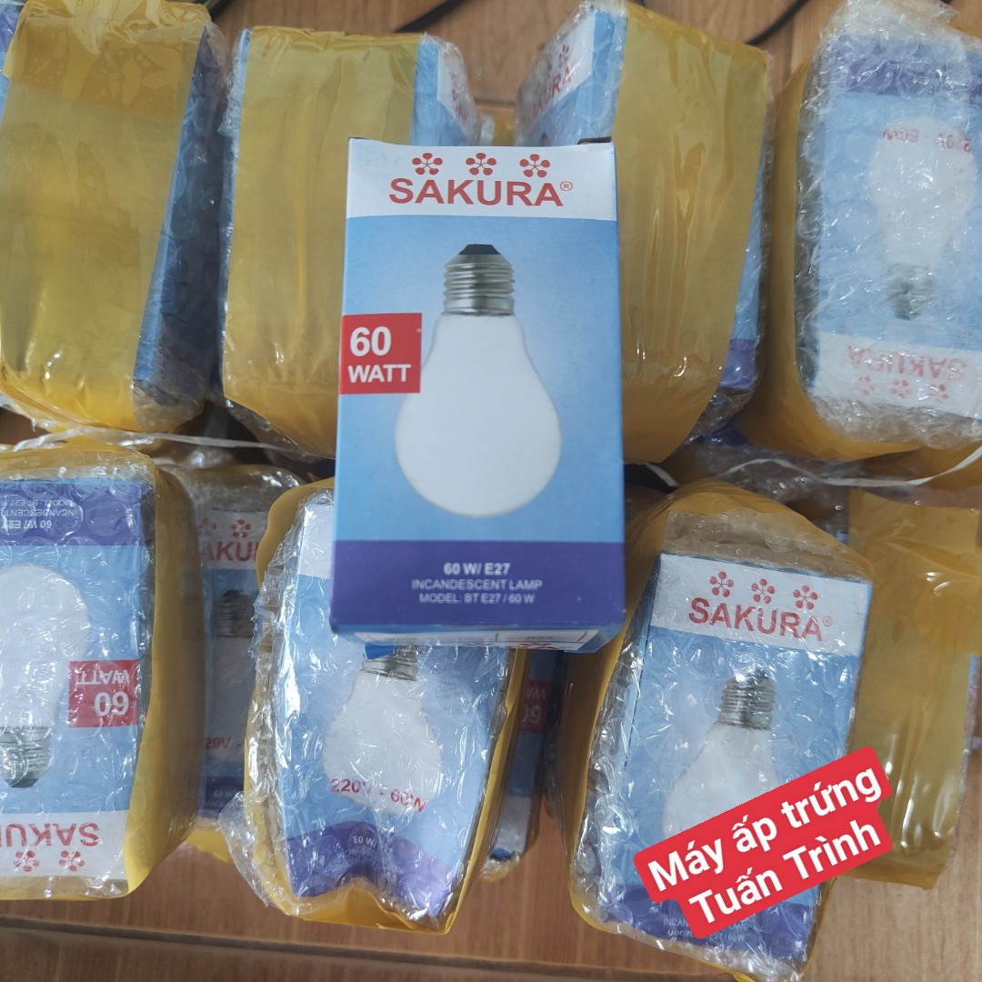 Bóng đèn sợi đốt 60W