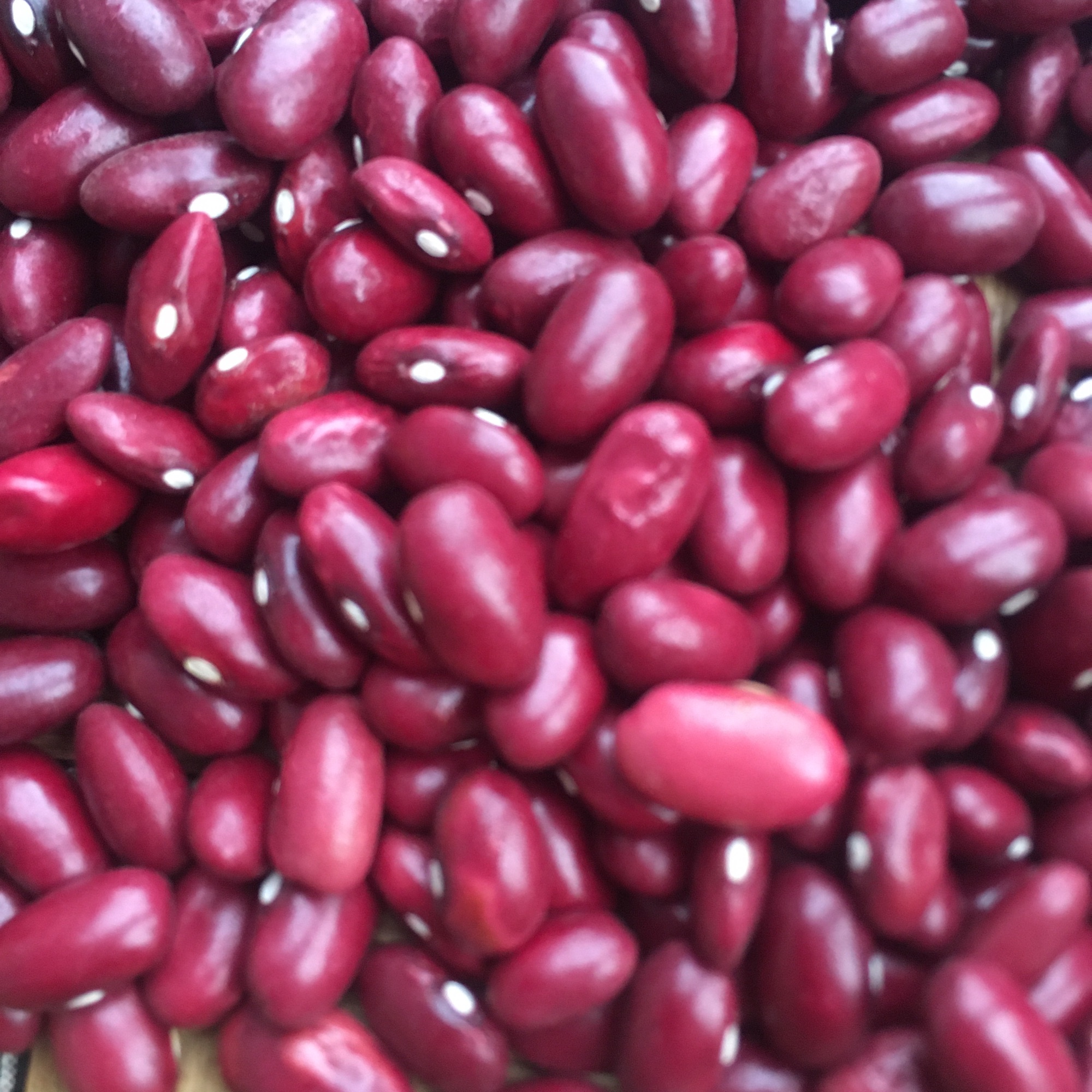 Đậu đỏ đà lạt 500gr