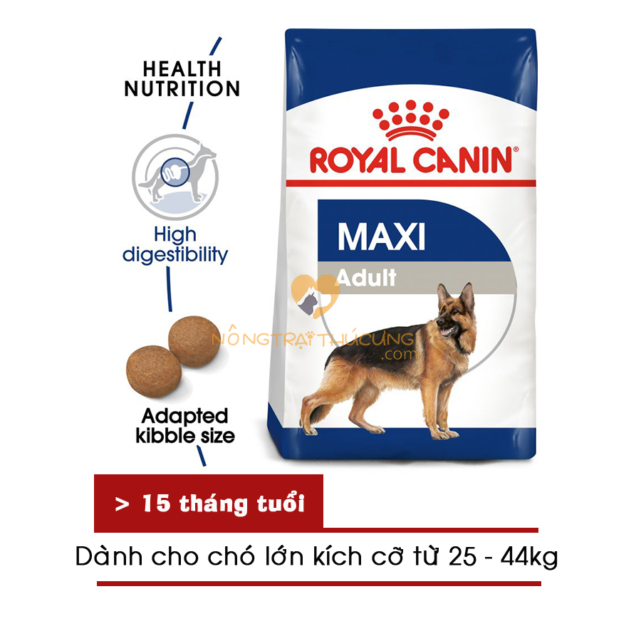 Thức ăn chó ROYAL CANIN MAXI ADULT cho giống chó lớn - Thức ăn cho chó Becgie Đức Husky Alaska Rottweiler Golden Retriever Labrador ...- [Nông Trại Thú Cưng]