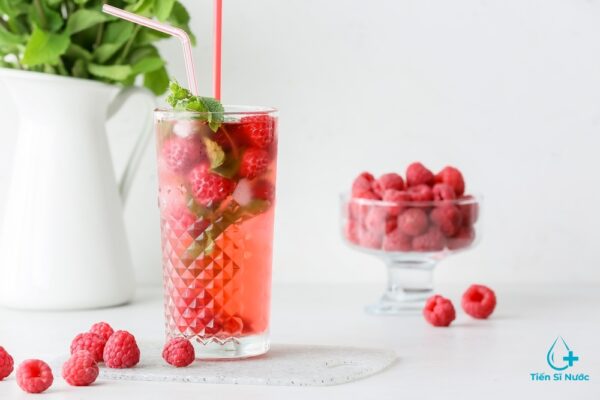 SIRO MONIN PHÚC BỒN TỬ 700ML - MONIN RASPBERRY SYRUP