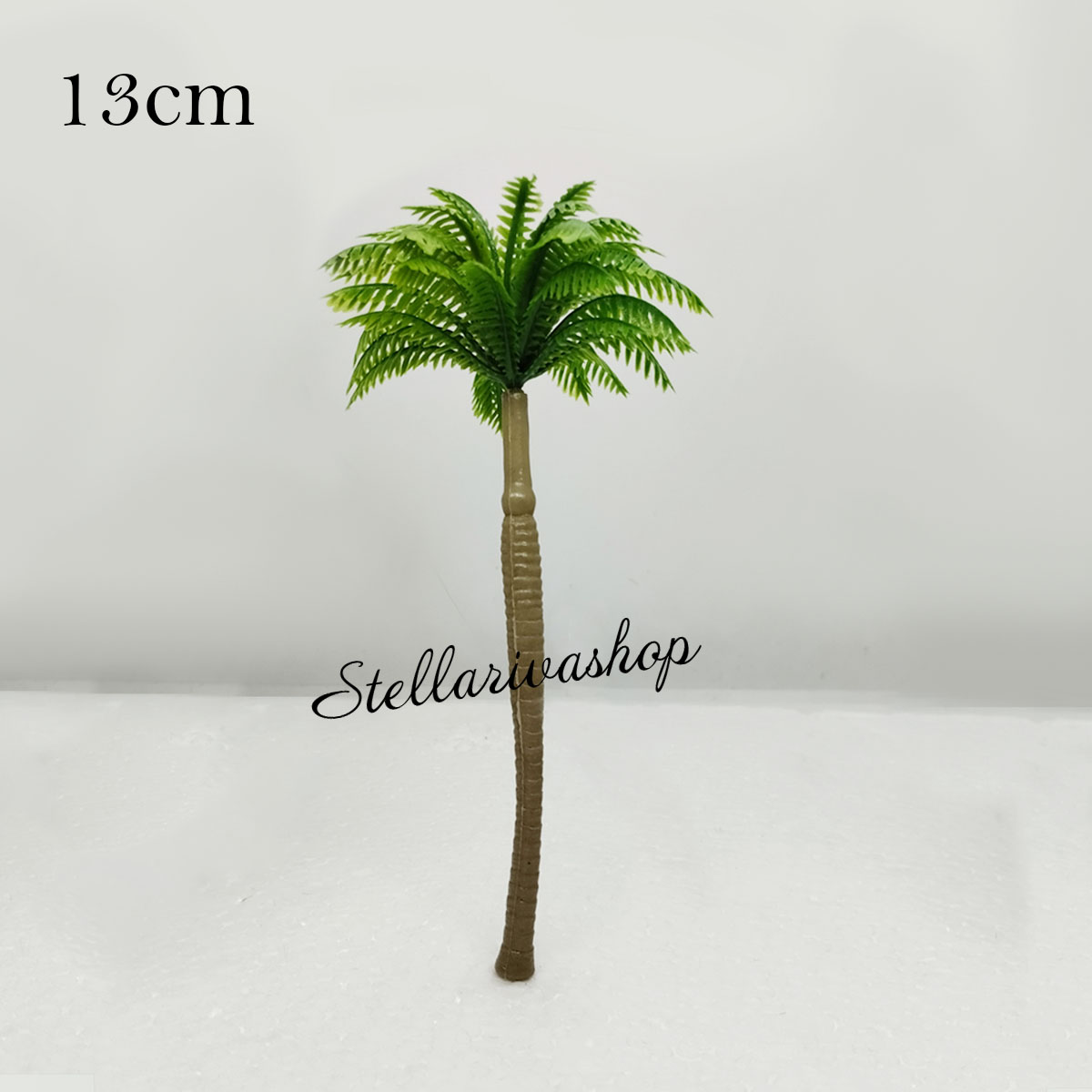 Tiểu Cảnh - Dừa phương nam làm tiểu cảnh terrarium, decor mô hình, trang trí cây cảnh