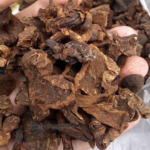 Nấm ngọc cẩu khô - 1kg
