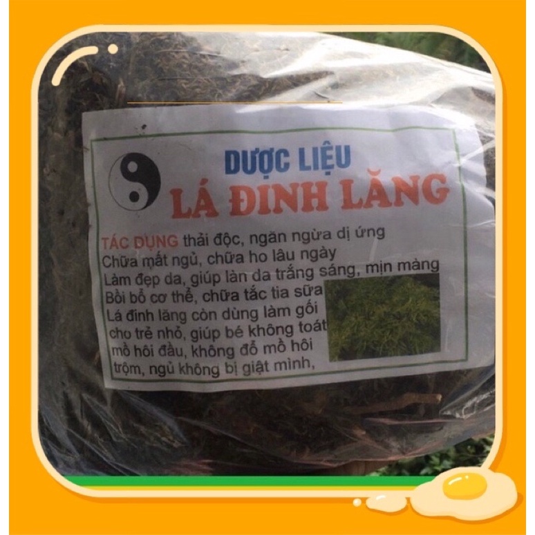 lá đinh lăng khô làm gối