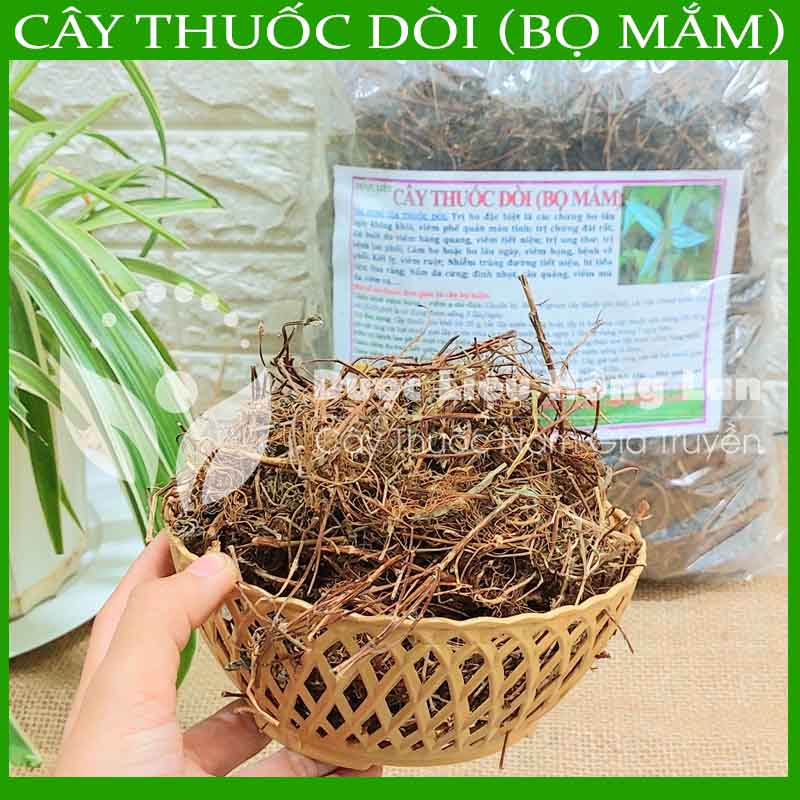Cây thuốc dòi khô đóng gói 1kg - công ty tnhh dược liệu hồng lan