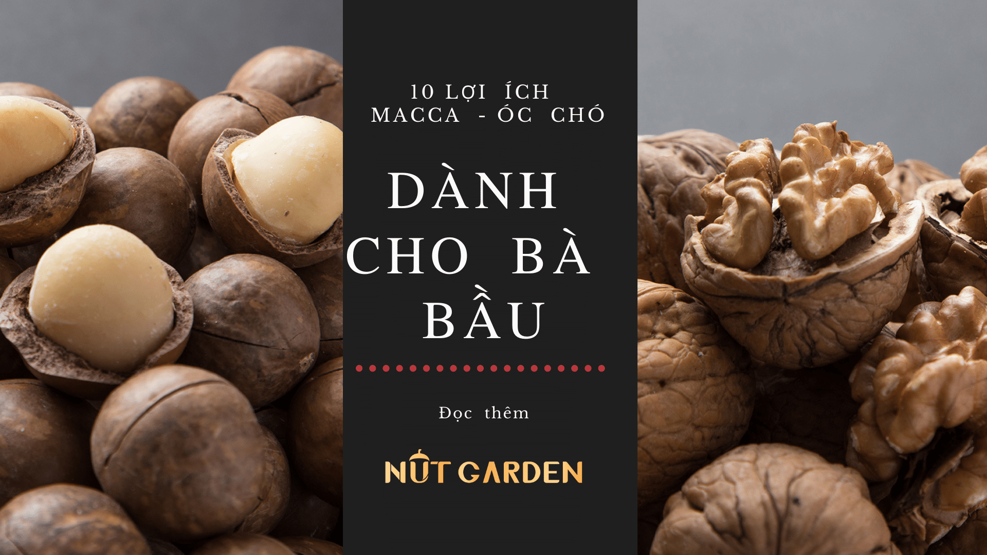 Nhân Hạt Macca Nut Garden - Nhập Khẩu Úc - 500gr