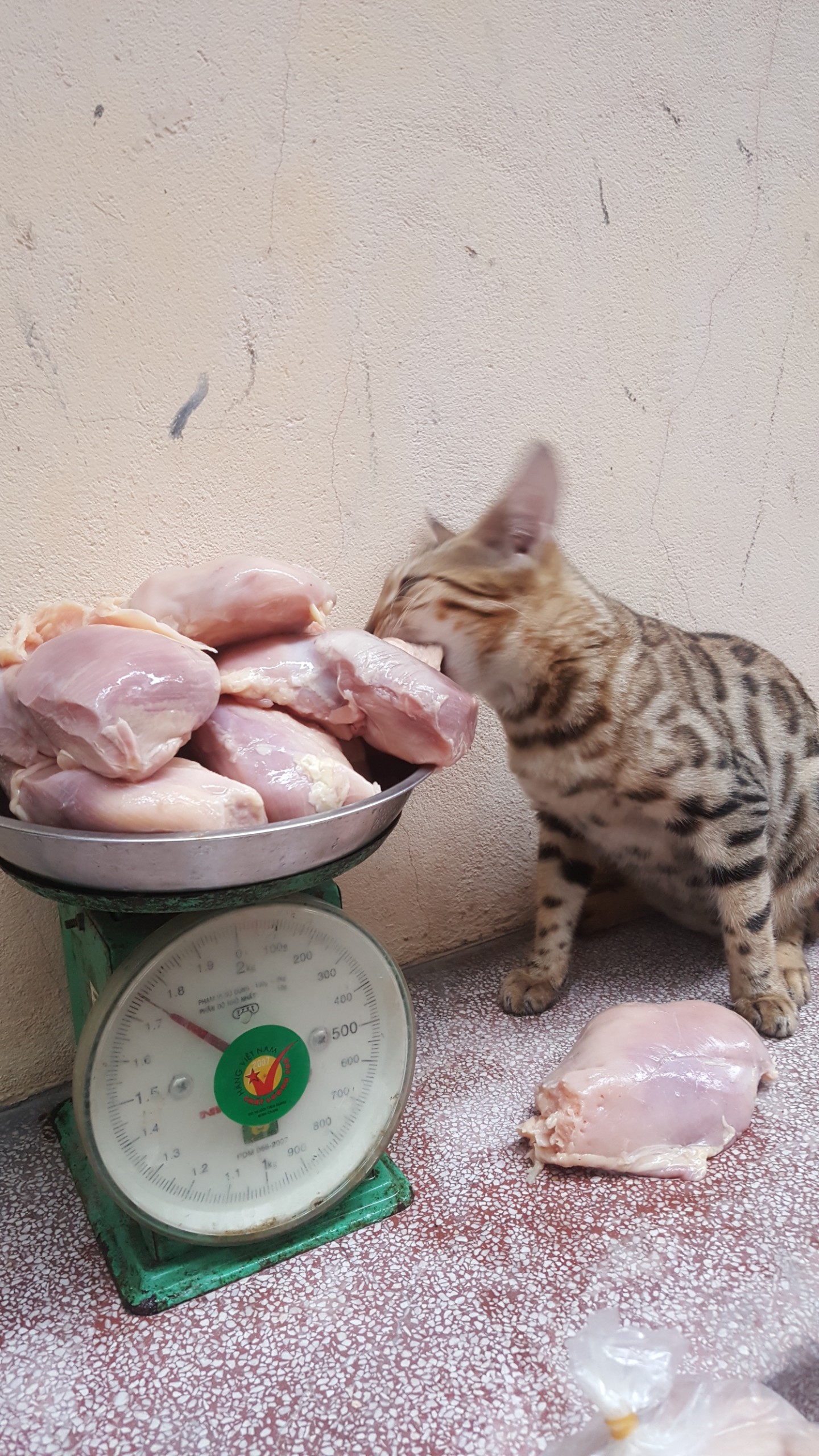 Ức Gà Ngạt Loại 2