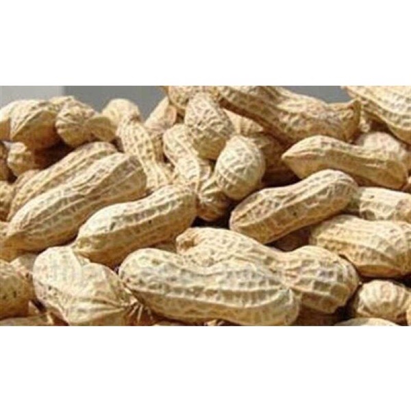 1Kg Lạc Trắng bóc tay (đậu phộng trắng sống)