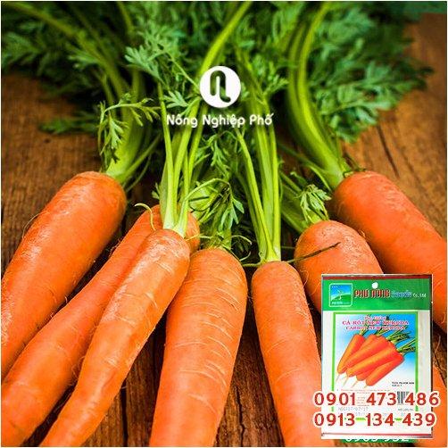 Hạt giống cà rốt New Kuroda Phú Nông - Gói 2 gram - Nông Nghiệp Phố