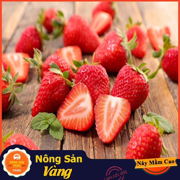 Most loved strawberry red seeds heat resistant, sweet sour flavor easy to grind and much nutrition (100 seeds pack)-shallow yellow product