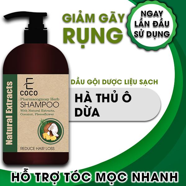 Dầu gội dược liệu giảm rụng tóc Ecoco với chiết xuất dừa, hà thủ ô giá rẻ