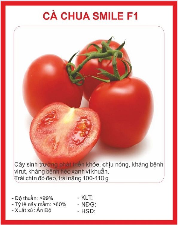 Hạt giống súp lơ,bông cải mix màu/gói 30 hạt