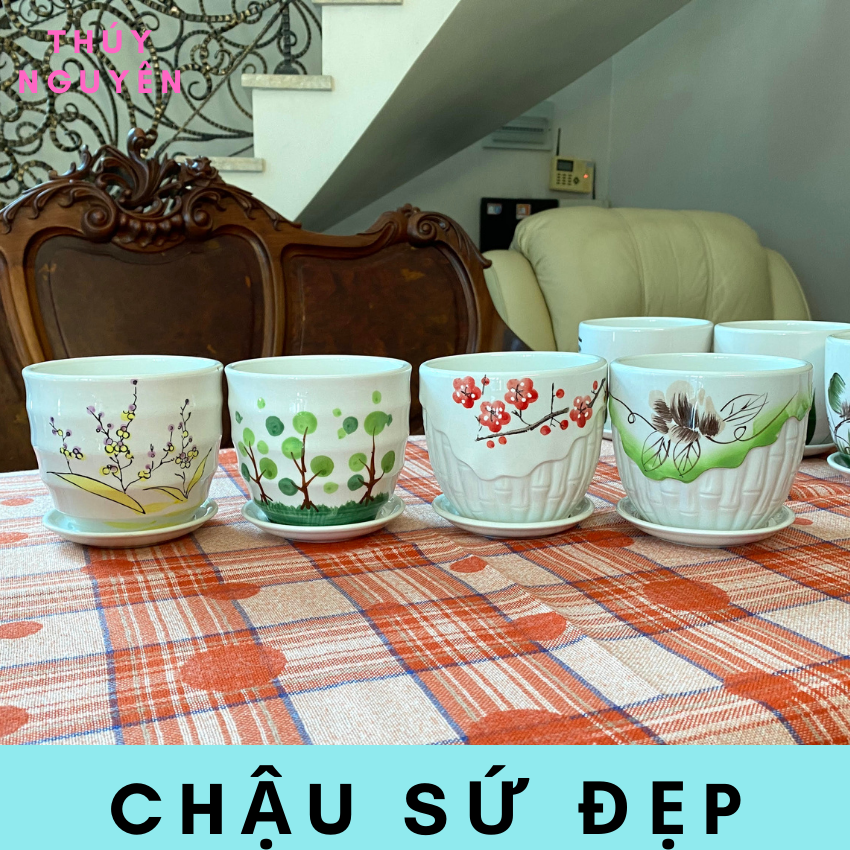 Chậu gốm sứ mini trồng sen đá để bàn