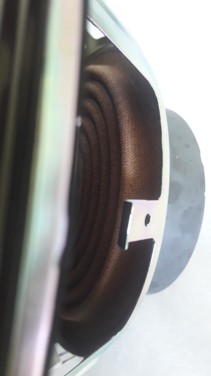LOA BASS 20 BOSE CAO CẤP - GIÁ 1 CHIẾC
