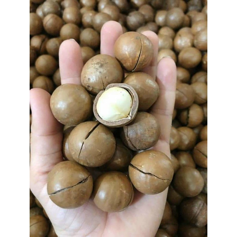 500GR Hạt Macca Sấy Nứt Vỏ Loại 1
