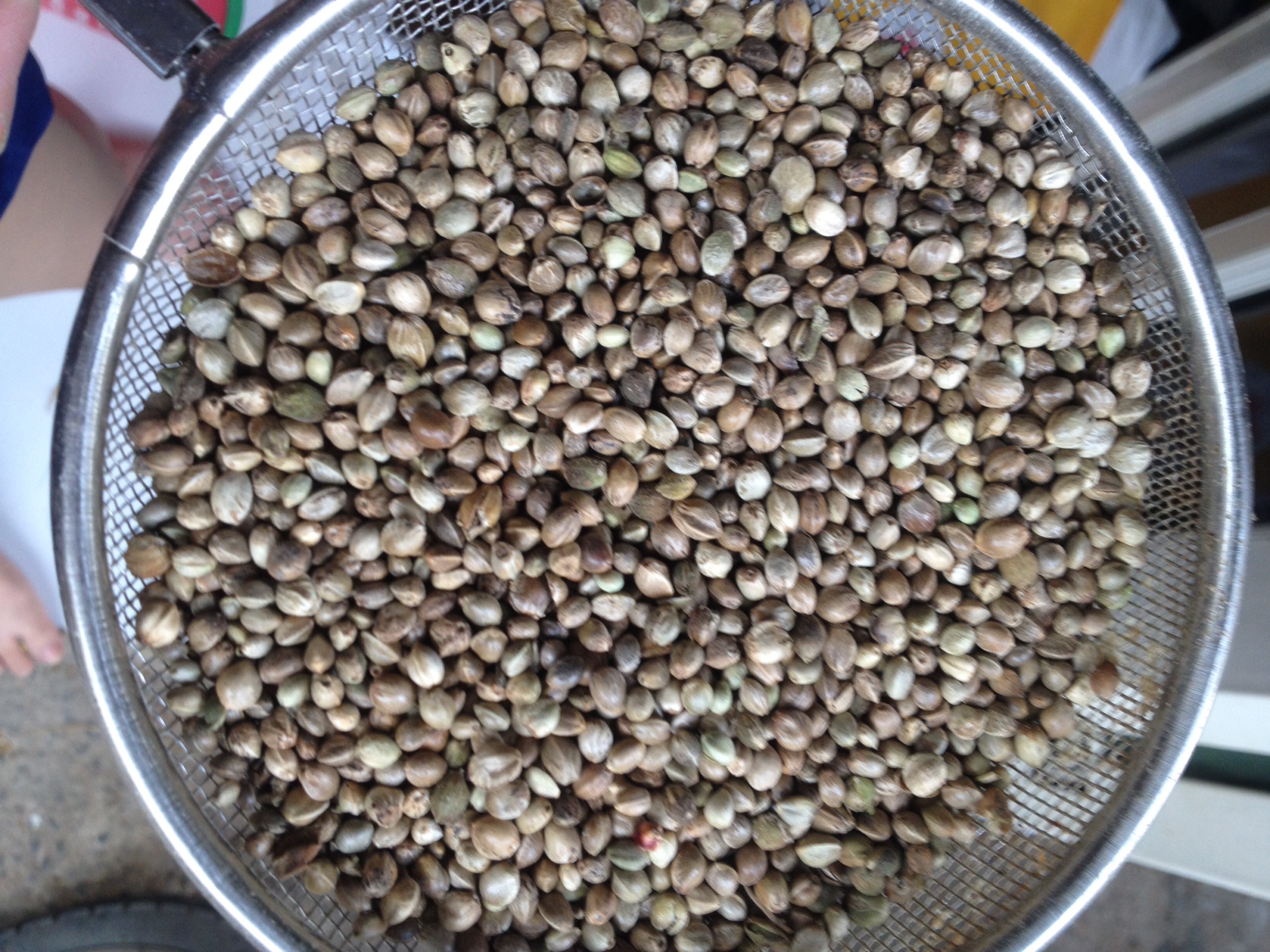 hạt láng tròn - láng bồ câu - láng gà -1kg