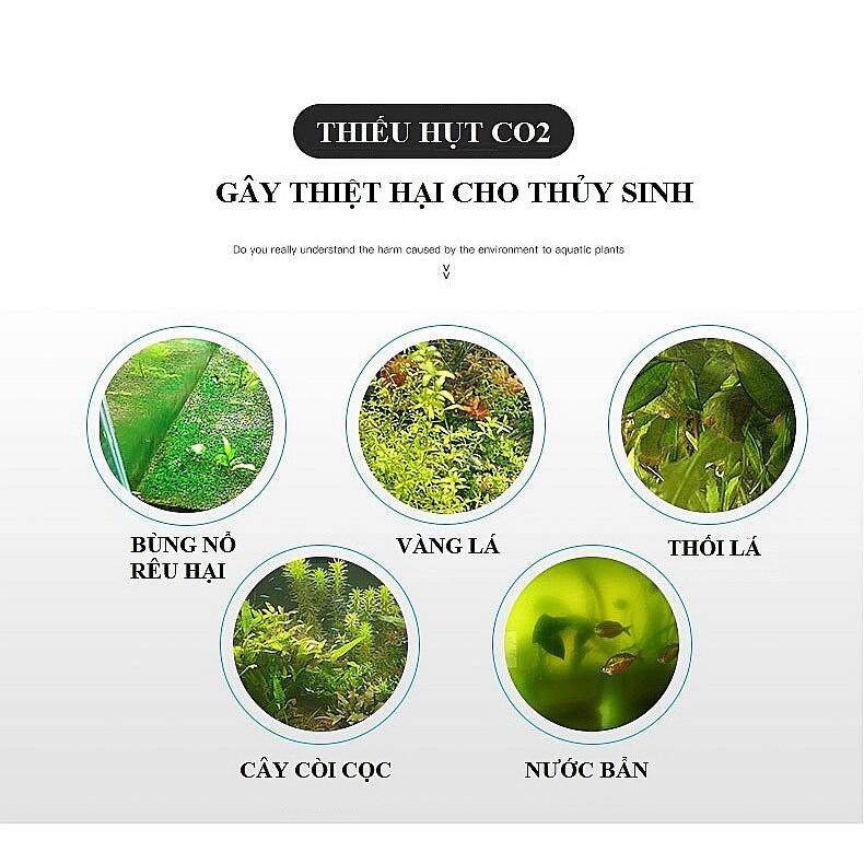Set 60 viên sủi cung cấp CO2 cho hồ thủy sinh