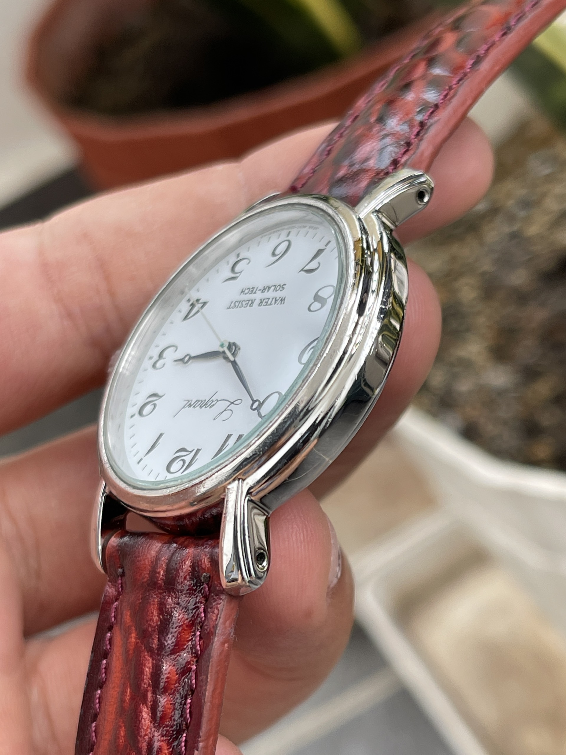 Đồng hồ nam Citizen Leopard chạy pin hàng Si