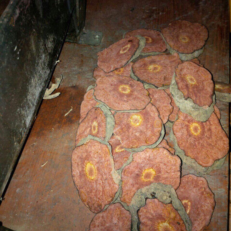 HÀ THỦ Ô ĐỎ - DẠNG BỘT-1kg(Hàng Thủ Công- Nguyên chất)